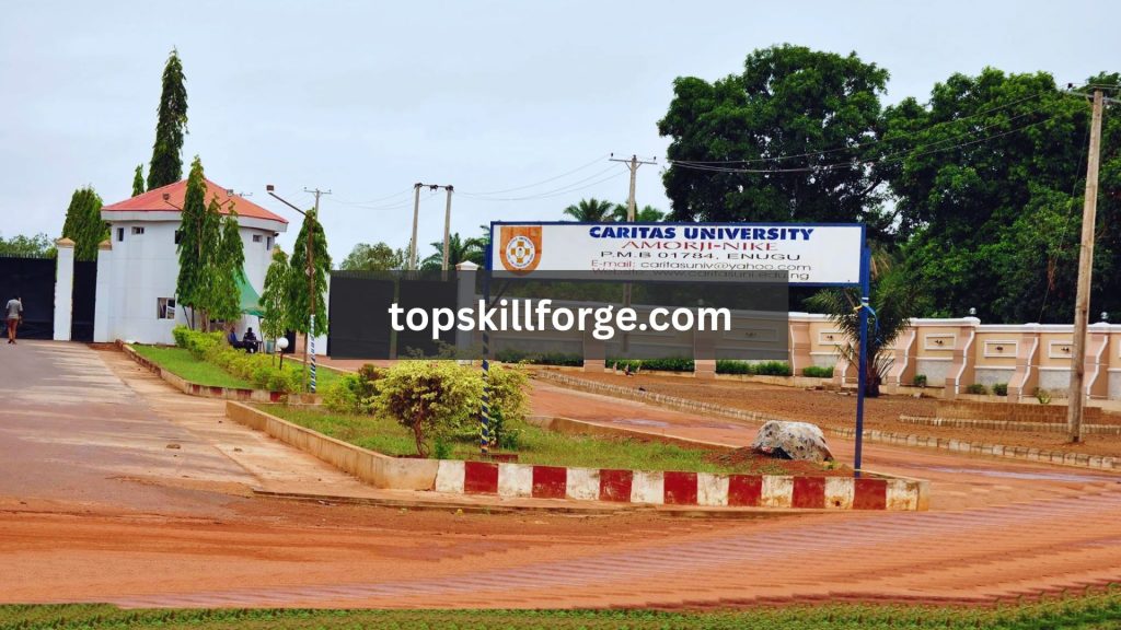 Caritas University Admission Requirements 2026